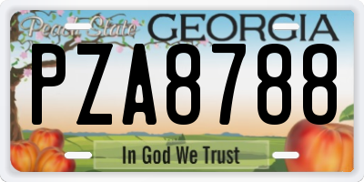 GA license plate PZA8788