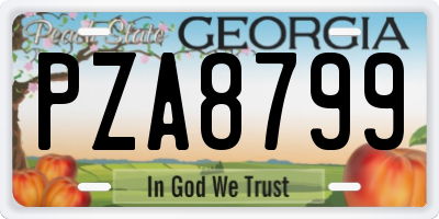 GA license plate PZA8799