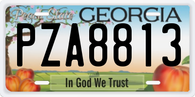 GA license plate PZA8813
