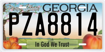 GA license plate PZA8814