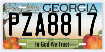 GA license plate PZA8817