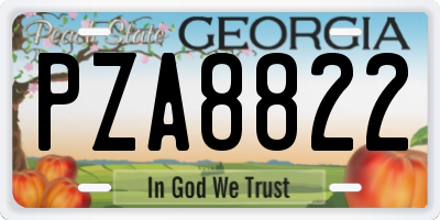 GA license plate PZA8822
