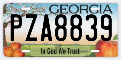 GA license plate PZA8839