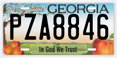 GA license plate PZA8846