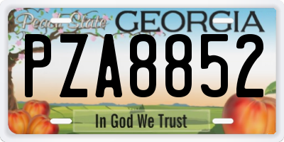 GA license plate PZA8852