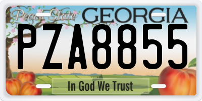 GA license plate PZA8855