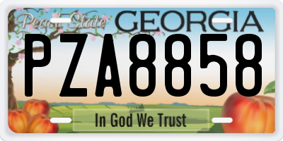 GA license plate PZA8858