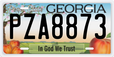 GA license plate PZA8873