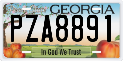 GA license plate PZA8891