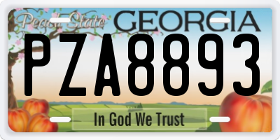 GA license plate PZA8893