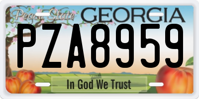GA license plate PZA8959