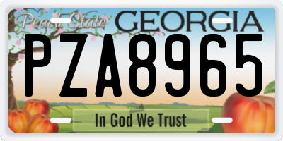 GA license plate PZA8965