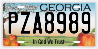 GA license plate PZA8989