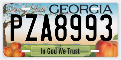 GA license plate PZA8993