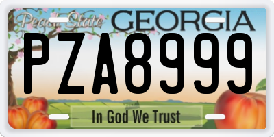 GA license plate PZA8999