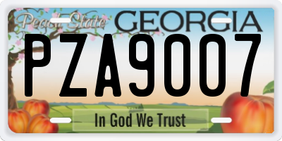 GA license plate PZA9007