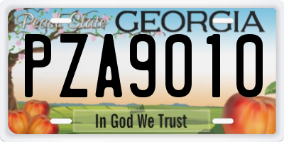 GA license plate PZA9010