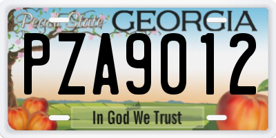 GA license plate PZA9012