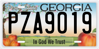 GA license plate PZA9019
