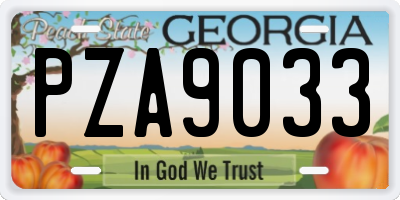 GA license plate PZA9033