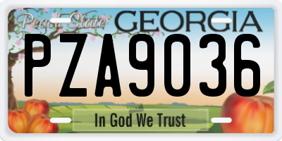 GA license plate PZA9036