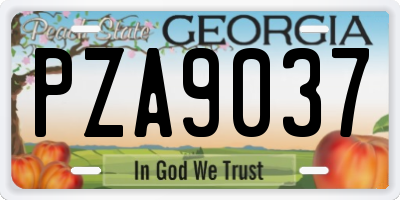 GA license plate PZA9037