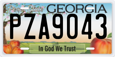 GA license plate PZA9043
