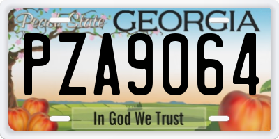 GA license plate PZA9064
