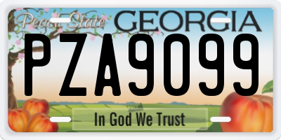 GA license plate PZA9099