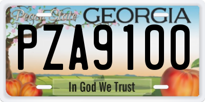 GA license plate PZA9100