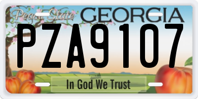 GA license plate PZA9107