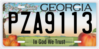 GA license plate PZA9113