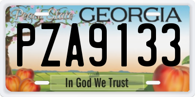 GA license plate PZA9133