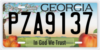 GA license plate PZA9137