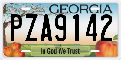 GA license plate PZA9142