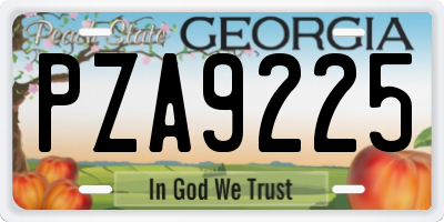 GA license plate PZA9225