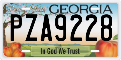 GA license plate PZA9228