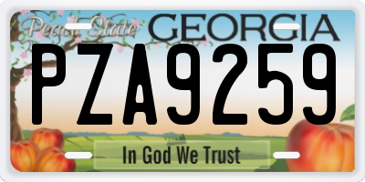 GA license plate PZA9259