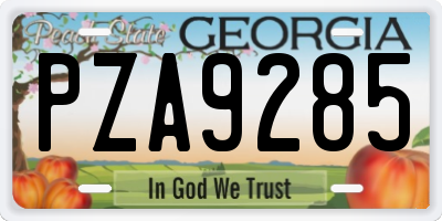 GA license plate PZA9285