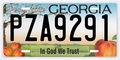 GA license plate PZA9291