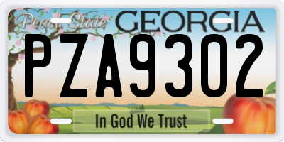 GA license plate PZA9302
