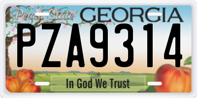 GA license plate PZA9314
