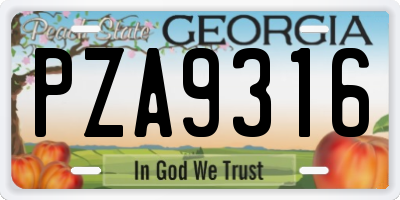 GA license plate PZA9316