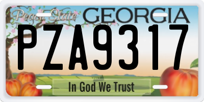 GA license plate PZA9317