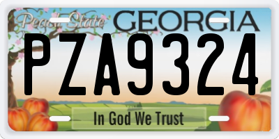 GA license plate PZA9324