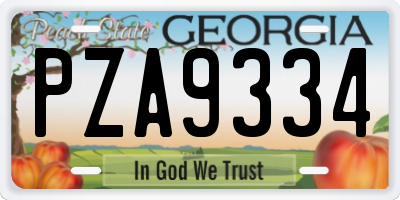 GA license plate PZA9334