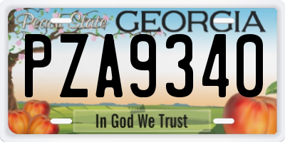 GA license plate PZA9340