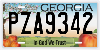 GA license plate PZA9342