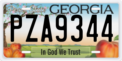 GA license plate PZA9344