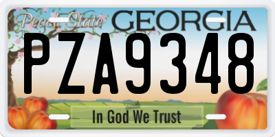 GA license plate PZA9348